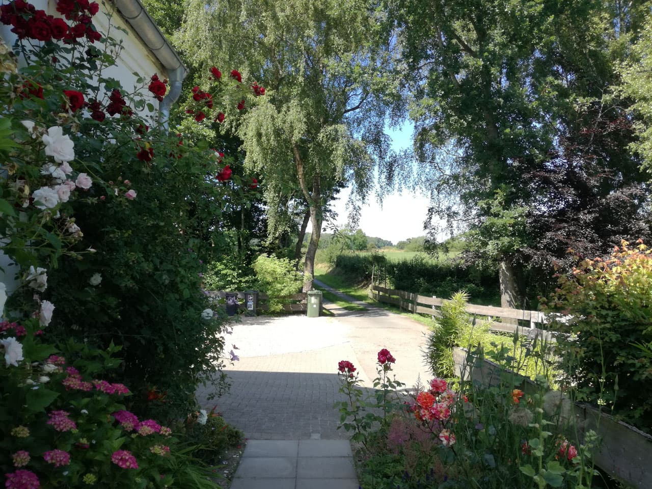 Blumengesäumter Weg auf dem Schnogholmer Hof