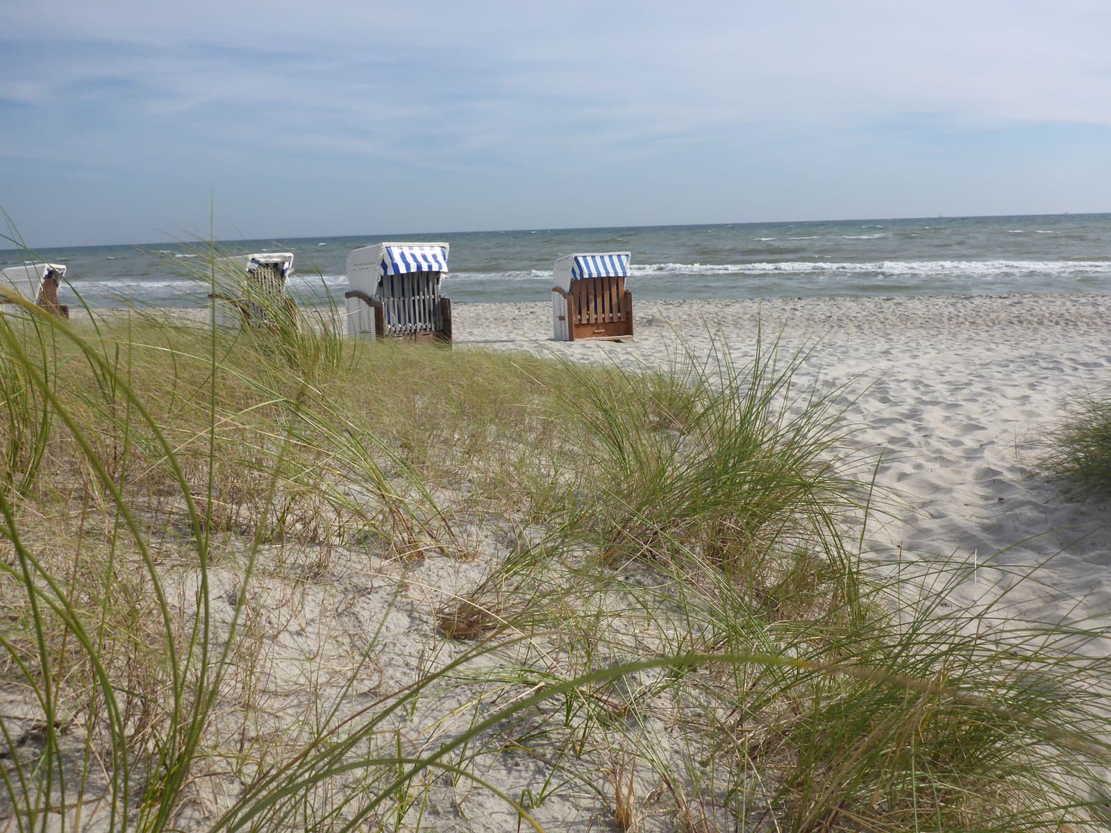 Strandkörbe am Badestrand an der Ostseeseite
