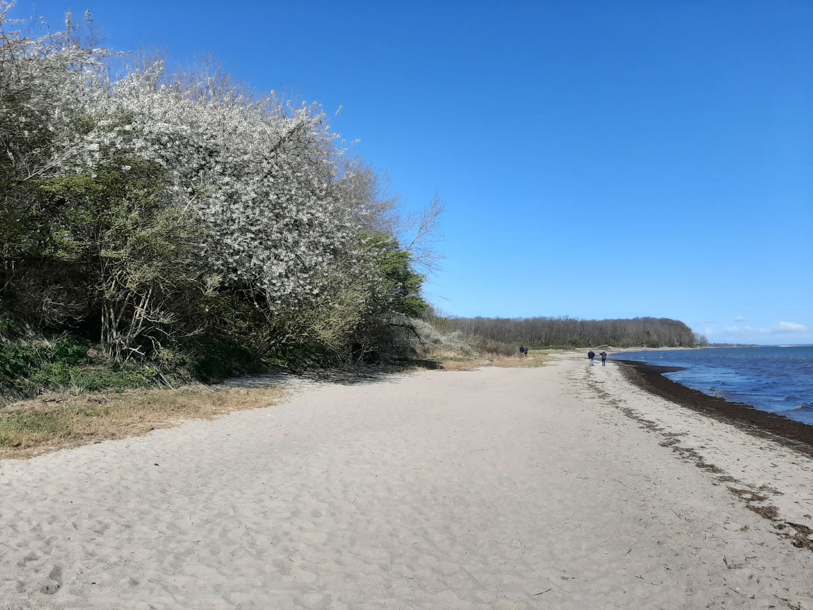 Naturbadestrand in der Nähe des Hofes